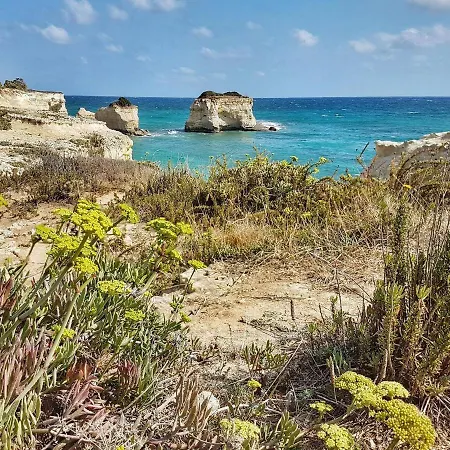 Casa Fronte Mare Torre شقة